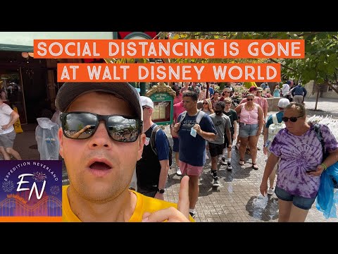 Video: Diffondere Ceneri A Disney World è Vietato Ma Molto Comune