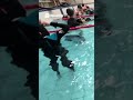 Ultimate human submarine
