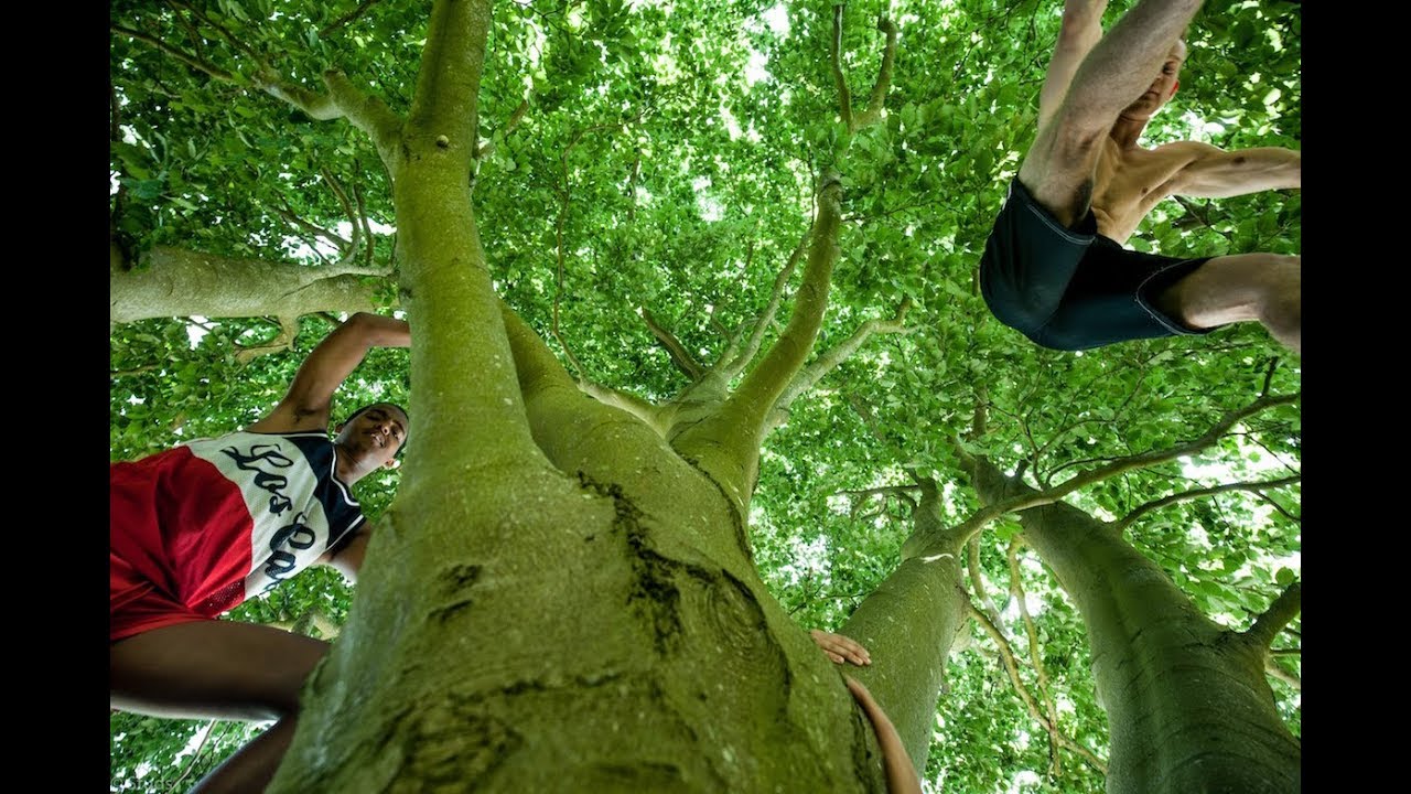 Natural Movement tips #1: Træklatring - rundt om træet | Morten Vinther