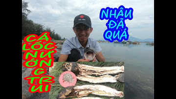 LÀM MÓN CÁ LỐC NƯỚNG TRUI QUÁ ĐÃ