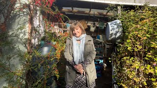 How One Woman Created a Woodland