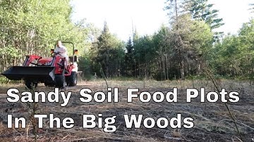 Sandy Soil Secrets To Food Plot Success In The Big Woods (Part 1)