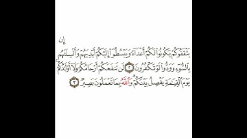 سورة الممتحنة 2 القسم الثاني تكرار كيفي من .. إن يثقفوكم يكونوا .. إلى .. والله بما تعملون بصير