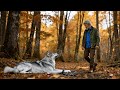 Wildlife Rescue Man Rescues a Wolf From a Hunter's Trap