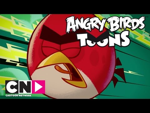 Angry Birds I Angry Birds Sadece Cartoon Network'te! I Cartoon Network Türkiye