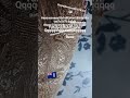 67676767 #funny #helpmemakethismakesense #giveusourstolenmoneybackttt
