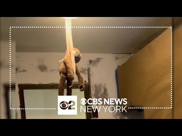 Exclusive Stuffed Monkey Found Hanging With Noose Around Its Neck Inside Nycha Building
