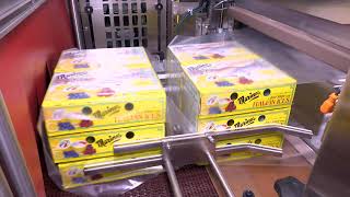 PH Shrink Bundler for Italian Ice Boxes | Servo-driven Stacker | Polypack