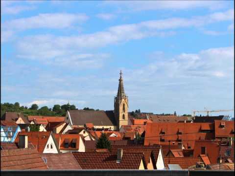 Die grÃ¶Ãte Glocke des Doms St. Martin in Rottenburg am Neckar ist die Martinusglocke. Sie hat ein Gewicht von 4800kg und wurde im Jahr 2008 von der GlockengieÃerei Bachert in Karlsruhe gegossen. Mehr Bilder vom Dom sowie von den Glocken gibt es im anderem Video mit der Aufnahme des FestgelÃ¤uts. Aufnahmedatum: 08.04.12