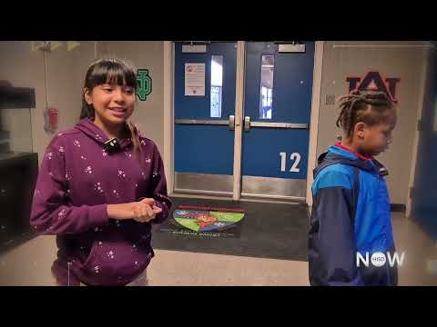 How Many Elementary Schools In Houston Isd