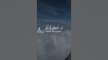 من عمل سيئة فلا يجزى إلا مثلها ومن عمل صالحا من ذكر سورة غافر حالات قرانية فيديوهات دينية تيك توك