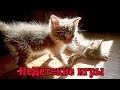 Спасение котят. Часть 2 Игры