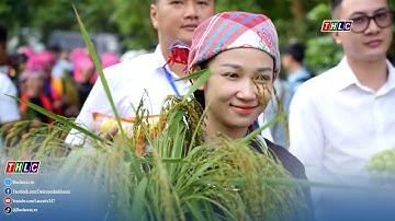 Bản vui: Hợp thành vui hương cốm mới (24/10/2025)  | THLC