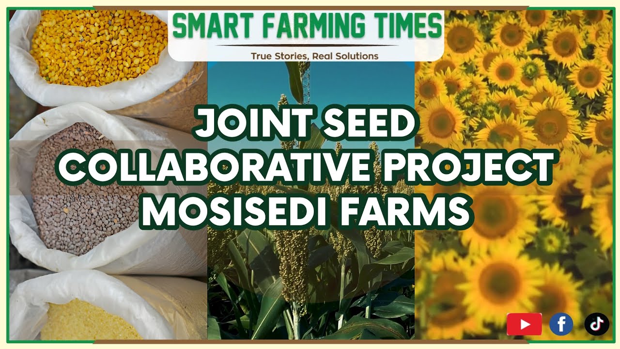 JOINT SEED COLLABORATIVE PROJECT 2 - YouTube