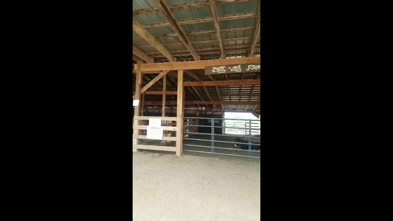 Full Care Board Available at Spring Valley Farm in Va ! YouTube