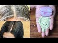 White Hair To Black Hair Permanently in 3 Days For White Hairs at Young Age