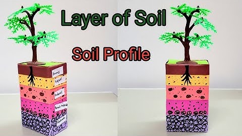 Model of layers of soil/Soil Profile/Model of composition of soil/School Project/Layers of soil