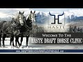 Exciting updates at haste draft horse clinic in billings montana march 57 2024 must see 