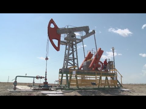 Диверсификация экспорта нефти