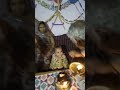 Baba or poti #ytshorts #love #song #trending #pop