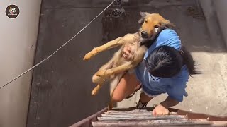 Download Lagu Left alone in backyard all his life, he burst into tears as he was held and loved MP3 Download Lagu Left alone in backyard all his life, he burst into tears as he was held and loved MP3