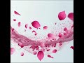 Rose petals falling stock footage | Cosmetic liquid splash video | #noncopyright