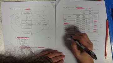 Component 1 Taskbook Q12 Carbon Cycle Model Answer