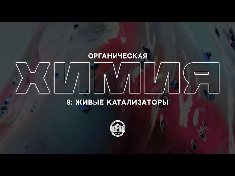 Органическая химия №9: Живые катализаторы