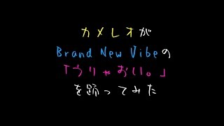 カメレオがBrand New Vibeの「うりゃおい。」を踊ってみた