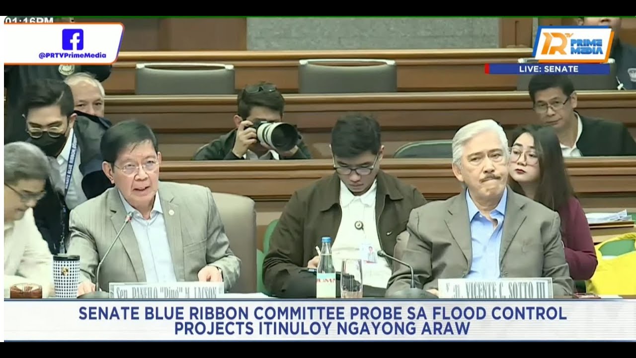 Senate Blue Ribbon Committee hearing on flood control projects | January 19, 2026