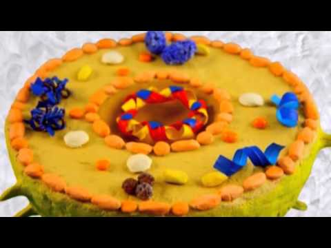 Видеофильм по профилактике ВИЧ-инфекции (ГБУЗ СО ОЦ СПИД и ИЗ)