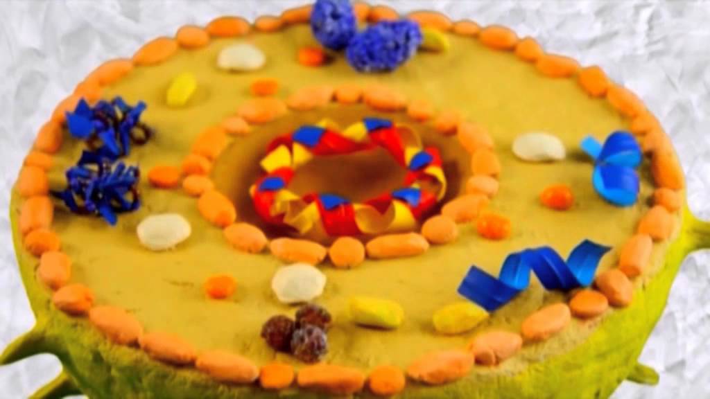 Видеофильм по профилактике ВИЧ-инфекции (ГБУЗ СО ОЦ СПИД и ИЗ)