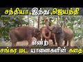 mega pets the story of 3 elephants documentary in tamil