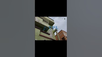 #Pigeon Net Solutions for Balconies | YPL Safety Nets