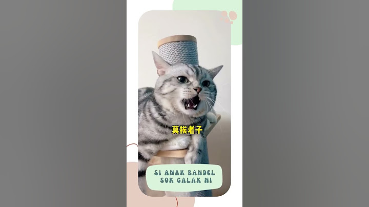 Si anak bandel sok galak ni