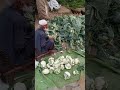Old Men Gaon ki Zindagi aur Taza Gobhi ki Katai 🥦 | Cutting Cauliflower Harvest