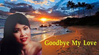 Song seng horn,goodbye my love,សុង សេងហ៊ន,Khmer old song collection#013