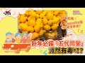 【節目重溫】年花有毒？！賀年年花「五代同堂」究竟係咩嚟？｜《聖艾粒LaLaLaLa》