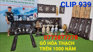 Clip 939 (15/8/2022) GỖ HÓA THẠCH Trên 1000 Năm Tuổi SIÊU HIẾM, Đồ Gỗ Cẩn Xà Cừ, Gốm Sứ, Đồ Cổ LTK