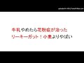 牛乳やめたら花粉症が治った！小麦よりやばい卵、乳製品のアレルギー。リーキーガットの症状サイン