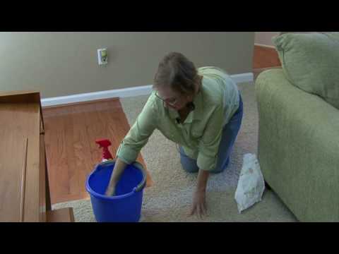 Cleaning Kitchens : How to Clean Dog Urine