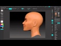 Using zbrush to sculpt the face of the biodigital human