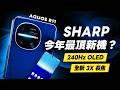 「邦尼評測」SHARP 高階新機！AQUOS R11 超完整開箱評測（徠卡相機、240Hz OLED、VC 散熱、全新 3X 長焦、8s Gen 4 效能續航 亮度實測 優缺點 SHARP值不值得買？