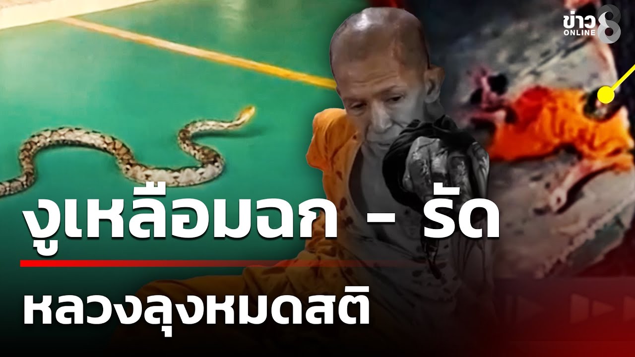 งูเหลือมฉก - รัดหลวงลุงหมดสติ | 17 ม.ค. 69 | คุยข่าวเช้าช่อง8