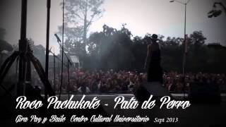 Roco Pachukote - Pata de Perro en vivo Centro Cultural Universitario Septiembre 2013