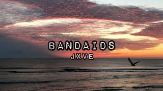 🌺Jxve - Bandaids🌺(Lyric Video) ||°Bee&Zee Lyrics°