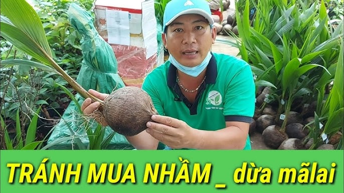 3. Công dụng của từng loại