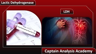 E10.LDH and Myocardial infarction احتشاء عضلة القلب نظرى+ عملى LDH