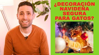 ¿Cómo decorar una casa en Navidad de forma segura para gatos? | ¿Árbol de Navidad tóxico?