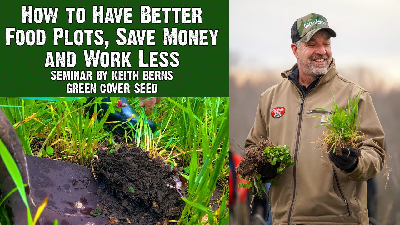 How to Have Better Food Plots, Save Money and Work Less